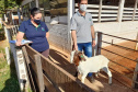IDR-Paraná entrega caprinos com genética superior
. Foto: IDR