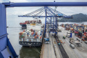 As exportações de mel, pelo Porto de Paranaguá, cresceram 31,65% neste primeiro quadrimestre, comparado com o período em 2020. O produto natural que deixou o país pelo terminal paranaense movimentou, de janeiro a abril, US$ 12,48 milhões. Quase toda carga exportada é produzida no próprio Estado, que está entre os três principais produtores do país.  -  Foto: Claudio Neves/Portos do Paraná