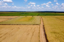 Fazenda Bassani em Santa Isabel do Ivaí. Foto: Ari Dias/AEN
