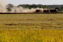 Colheita de arroz - Fazendas Volta Grande e Nova Brasília.Foto: Ari Dias/AEN
