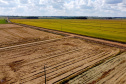 Fazenda Bassani em Santa Isabel do Ivaí. Foto: Ari Dias/AEN