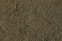 Colheita de arroz - Fazendas Volta Grande e Nova Brasília.Foto: Ari Dias/AEN