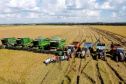 Colheita de arroz - Fazendas Volta Grande e Nova Brasília.Foto: Ari Dias/AEN
