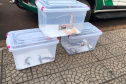 Animais de espécimes nativas e exóticas foram apreendidos durante cumprimento de mandados de busca e apreensão em Maringá, no Noroeste do Estado, nesta terça-feira (25). A operação contou com o apoio do Batalhão de Polícia Ambiental ? Força Verde. - Foto: IAT/SEDEST