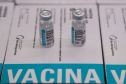 São 303.000 doses da Covishield, da Universidade de Oxford/Astrazeneca/Fiocruz, e 6.200 doses da Coronavac. Doses serão distribuídas às 22 Regionais do Paraná a partir das 8h desta sexta-feira (29). Foto: Ari Dias/AEN