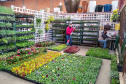 Mercado de Flores do Ceasa - Foto: Ceasa