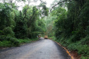 Pavimentação da PR-160 Imbaú - Reserva  -  Curitiba, 28/05/2021  -  Foto: DER