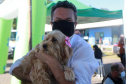 Equipes do Programa Permanente de Castração de Cães e Gatos (CastraPet), da Secretaria de Estado do Desenvolvimento Sustentável e do Turismo (Sedest), concluíram neste sábado (29) a castração de 719 animais em Piraquara. O Município é um dos últimos do ciclo que encerra no final de junho, com atendimento em 45 localidades e 15 mil pets castrados.  -  Piraquara, 29/05/2021  - Foto: Alessandro Vieira/AEN