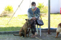 Equipes do Programa Permanente de Castração de Cães e Gatos (CastraPet), da Secretaria de Estado do Desenvolvimento Sustentável e do Turismo (Sedest), concluíram neste sábado (29) a castração de 719 animais em Piraquara. O Município é um dos últimos do ciclo que encerra no final de junho, com atendimento em 45 localidades e 15 mil pets castrados.  -  Piraquara, 29/05/2021  - Foto: Alessandro Vieira/AEN