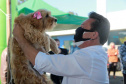 Equipes do Programa Permanente de Castração de Cães e Gatos (CastraPet), da Secretaria de Estado do Desenvolvimento Sustentável e do Turismo (Sedest), concluíram neste sábado (29) a castração de 719 animais em Piraquara. O Município é um dos últimos do ciclo que encerra no final de junho, com atendimento em 45 localidades e 15 mil pets castrados.  -  Piraquara, 29/05/2021  - Foto: Alessandro Vieira/AEN