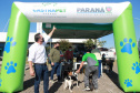 Equipes do Programa Permanente de Castração de Cães e Gatos (CastraPet), da Secretaria de Estado do Desenvolvimento Sustentável e do Turismo (Sedest), concluíram neste sábado (29) a castração de 719 animais em Piraquara. O Município é um dos últimos do ciclo que encerra no final de junho, com atendimento em 45 localidades e 15 mil pets castrados.  -  Piraquara, 29/05/2021  - Foto: Alessandro Vieira/AEN