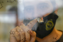 Com bons profissionais e tecnologia, Polícia Científica do Paraná é referência no País. Foto: Gilson Abreu/AEN