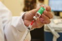O Paraná receberá nos próximos dias mais 397.690 doses de vacinas contra a Covid-19, referentes à 22ª pauta de distribuição do Ministério da Saúde. São 37.440 da Cominarty, da parceria Pfizer/BioNtech, e 360.250 da Covishield, da união entre Fiocruz/AstraZeneca/Oxford (na imagem) - Curitiba, 01/06/2021  -  Foto: Geraldo Bubniak