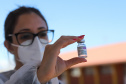 O Paraná receberá nos próximos dias mais 397.690 doses de vacinas contra a Covid-19, referentes à 22ª pauta de distribuição do Ministério da Saúde. São 37.440 da Cominarty, da parceria Pfizer/BioNtech, e 360.250 da Covishield, da união entre Fiocruz/AstraZeneca/Oxford (na imagem) - Curitiba, 01/06/2021   -  Foto: Geraldo Bubniak/Arquivo AEN