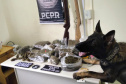 A Polícia Civil do Paraná (PCPR) prendeu 12 integrantes de organização criminosa envolvida no tráfico de drogas, na manhã desta terça-feira (1), em Jaguariaíva e Sengés, na região dos Campos Gerais. As prisões em flagrante ocorreram durante o cumprimento de 18 mandados de busca e apreensão, resultantes de investigações de alta complexidade.  - Sengés, 01/06/2021  -  Foto: PCPR