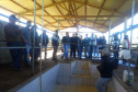 Assistência técnica e um bom planejamento geram aumento na produção e qualidade do leite  -  Curitiba, 09/06/2021  -  Foto: IDR-PARANÁ