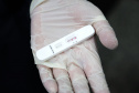 A Secretaria de Estado da Saúde (Sesa) está enviando 85 mil testes rápidos imunocromatográficos para pesquisa do antígeno viral SARS-CoV-2 e 640 oxímetros aos municípios sede das 22 Regionais de Saúde, quatro municípios de fronteira, além de todos os municípios do litoral do Paraná. O objetivo é fortalecer o rastreio, monitoramento e isolamento de contatos relacionados à Covid-19.  -  Curitiba, 09/06/2021  -  Foto: Clevis Massolla