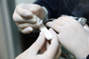 A Secretaria de Estado da Saúde (Sesa) está enviando 85 mil testes rápidos imunocromatográficos para pesquisa do antígeno viral SARS-CoV-2 e 640 oxímetros aos municípios sede das 22 Regionais de Saúde, quatro municípios de fronteira, além de todos os municípios do litoral do Paraná. O objetivo é fortalecer o rastreio, monitoramento e isolamento de contatos relacionados à Covid-19.  -  Curitiba, 09/06/2021  -  Foto: Clevis Massolla