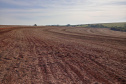 O vazio sanitário da soja no Paraná inicia nesta quinta-feira (10) e segue até 10 de setembro. Neste período, fica proibido cultivar, manter ou permitir a existência de plantas vivas de soja no campo. O objetivo é reduzir a sobrevivência do fungo causador da ferrugem asiática durante a entressafra e consequentemente atrasar a ocorrência da doença na próxima safra. - Foto: Camila Roberta Javorski Ueno/Adapar