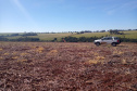 O vazio sanitário da soja no Paraná inicia nesta quinta-feira (10) e segue até 10 de setembro. Neste período, fica proibido cultivar, manter ou permitir a existência de plantas vivas de soja no campo. O objetivo é reduzir a sobrevivência do fungo causador da ferrugem asiática durante a entressafra e consequentemente atrasar a ocorrência da doença na próxima safra. - Foto: Camila Roberta Javorski Ueno/Adapar