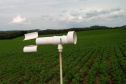 O vazio sanitário da soja no Paraná inicia nesta quinta-feira (10) e segue até 10 de setembro. Neste período, fica proibido cultivar, manter ou permitir a existência de plantas vivas de soja no campo. O objetivo é reduzir a sobrevivência do fungo causador da ferrugem asiática durante a entressafra e consequentemente atrasar a ocorrência da doença na próxima safra.  -  Foto: SEAB