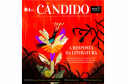 Está no ar o número 119 do jornal Cândido, editado pela Biblioteca Pública do Paraná, que destaca uma nova leva de lançamentos marcados pela temática da pandemia da Covid-19. 
Arte: BPP