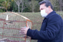 O Escritório Regional do Instituto Água e Terra (IAT) de Umuarama, no Noroeste do Estado, realizou a apreensão e a soltura de mais de 250 aves. O o secretário da pasta, Márcio Nunes, participou da soltura de 17 aves, entre Trinca Ferro, Coleirinha, Patativa, Canário Terra, Melrol, Sabiá, Irauna Grande, e Curió.  -  Umuarama, 29/06/2021  -  Foto: SEDEST/IAT