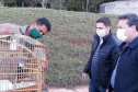 O Escritório Regional do Instituto Água e Terra (IAT) de Umuarama, no Noroeste do Estado, realizou a apreensão e a soltura de mais de 250 aves. O o secretário da pasta, Márcio Nunes, participou da soltura de 17 aves, entre Trinca Ferro, Coleirinha, Patativa, Canário Terra, Melrol, Sabiá, Irauna Grande, e Curió.  -  Umuarama, 29/06/2021  -  Foto: SEDEST/IAT