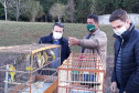 O Escritório Regional do Instituto Água e Terra (IAT) de Umuarama, no Noroeste do Estado, realizou a apreensão e a soltura de mais de 250 aves. O o secretário da pasta, Márcio Nunes, participou da soltura de 17 aves, entre Trinca Ferro, Coleirinha, Patativa, Canário Terra, Melrol, Sabiá, Irauna Grande, e Curió.  -  Umuarama, 29/06/2021  -  Foto: SEDEST/IAT