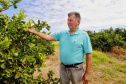 Produtores de limão em Altônia - Devaldir Antonio Vendramini, 47 anos de Altônia e 25 dedicados à fruticultura   -  Foto: Gilson Abreu/AEN