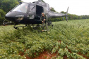 A Polícia Civil do Paraná (PCPR) comemora neste domingo (4) cinco anos de criação do seu Grupamento de Operações Aéreas (GOA). Atualmente são cinco aeronaves, sendo quatro helicópteros e um avião.  -  Foto: Polícia Civil do Paraná