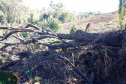 Fiscais do Instituto Água e Terra (IAT) identificaram mais de 100 hectares (ha) de desmatamento na região Centro-Sul do Estado, na última semana. O IAT é um órgão vinculado à Secretaria do Desenvolvimento Sustentável e do Turismo (Sedest). -  Curitiba, 05/07/2021  -  Foto: SEDEST/IAT
