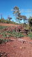 Fiscais do Instituto Água e Terra (IAT) identificaram mais de 100 hectares (ha) de desmatamento na região Centro-Sul do Estado, na última semana. O IAT é um órgão vinculado à Secretaria do Desenvolvimento Sustentável e do Turismo (Sedest). -  Curitiba, 05/07/2021  -  Foto: SEDEST/IAT