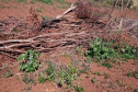 Fiscais do Instituto Água e Terra (IAT) identificaram mais de 100 hectares (ha) de desmatamento na região Centro-Sul do Estado, na última semana. O IAT é um órgão vinculado à Secretaria do Desenvolvimento Sustentável e do Turismo (Sedest). -  Curitiba, 05/07/2021  -  Foto: SEDEST/IAT