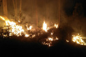 Nos primeiros quatro meses de 2021, o Corpo de Bombeiros do Paraná registrou 2.760 casos de incêndios em vegetação nativa ou plantação, 1.181 a menos que no primeiro quadrimestre de 2020, representando uma queda de 30%.  -  Curitiba, 05/07/2021  -  Foto: SESP-PR