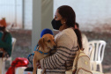 O Programa Permanente de Esterilização de Cães e Gatos (CastraPet), iniciativa da Secretaria estadual do Desenvolvimento Sustentável e do Turismo (Sedest), estará em Formosa do Oeste nesta semana com a castração de 115 cães e gatos no município. A ação ocorre segunda-feira (12) e terça-feira (13).  -  Foto: Alessandro Vieira/Arquivo AEN