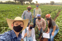 Pesquisa obtém 3x mais algodão com adequado manejo de água e pragas - Alunos de Agronomia: Rafael Corradini (à frente), Eduardo de Lima Souza (abaixado), Danyelle Rech da Silva (boné azul), Maria Eduarda Siqueira Pinheiro (boné laranja), Bruno Norato (em pé, à esq.) e Daniel Haraguchi (em pé, à dir.)     -   Maringá, 20/07/2021  -  Foto: UEM