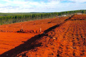 Técnicos da Cohapar vistoriaram nesta quarta-feira (21) as obras de dois novos conjuntos em construção pelo Governo do Estado no Norte Pioneiro. São 47 novas moradias em Figueira e 74 em Curiúva, que recebem investimentos de R$ 9,5 milhões do programa Casa Fácil Paraná. (Foto: Michael Faleiros/Cohapar)