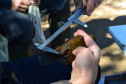 Levantamento de fauna da Serra do Mar ajuda a prever a descida dos trilhos da Nova Ferroeste 
Foto: Mirella Gimenes/ Nova Ferroeste