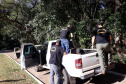 IAT resgata macaco-prego machucado em Paranavaí e alerta para o descarte de resíduos  Foto: IAT