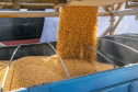 Navio programado para quarta-feira (28) vai descarregar 32 mil toneladas do cereal. Desde o início do ano, já são quatro embarcações recebidas no porto paranaense com milho importado. - Paranaguá, 27/07/2021  -  Foto: Claudio Neves/Arquivo Portos do Paraná-primeira operação, em Maio/21