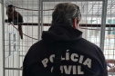 A Polícia Civil do Paraná (PCPR) resgatou seis animais silvestres, sendo 2 macacos-prego, 1 papagaio e 3 araras, nesta terça-feira (27), durante uma operação contra o tráfico de animais silvestres no Paraná, ocorrida em Curitiba. A tutora dos bichos, de 31 anos, foi presa por uso de documentos falsos e por manter os animais em cativeiro. -  Curitiba, 27/08/2021  -  Foto: Polícia Civil do Paraná/SESO-PR