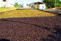 O concurso Café Qualidade Paraná abriu as inscrições para a edição 2021 com uma novidade ? agora os cafeicultores podem concorrer também na categoria fermentação induzida, que vem se somar às já existentes cereja descascado e natural.  -  Curitiba, 29/07/2021 -  Foto: IDR-PARANÁ