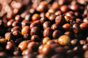 O concurso Café Qualidade Paraná abriu as inscrições para a edição 2021 com uma novidade ? agora os cafeicultores podem concorrer também na categoria fermentação induzida, que vem se somar às já existentes cereja descascado e natural.  -  Curitiba, 29/07/2021 -  Foto: IDR-PARANÁ