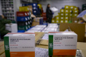 Um total de 329.380 doses de vacinas contra a Covid-19 já estão no Centro de Medicamentos do Paraná (Cemepar), em Curitiba. O lote, que desta vez foi encaminhado pelo Ministério da Saúde via terrestre, chegou na tarde deste sábado (31), às 16 horas.Foto Gilson Abreu/AEN