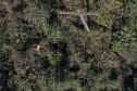 Copel amplia uso de drones para inspeção de redes de energia. Foto:Alessandro Vieira/AEN