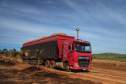 Tecnologia e produtividade fazem a cana-de-açúcar voltar a brilhar no Norte Pioneiro. Foto: José Fernando Ogura/AEN