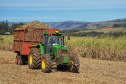Tecnologia e produtividade fazem a cana-de-açúcar voltar a brilhar no Norte Pioneiro. Foto: José Fernando Ogura/AEN