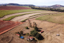 Tecnologia e produtividade fazem a cana-de-açúcar voltar a brilhar no Norte Pioneiro. Foto: José Fernando Ogura/AEN