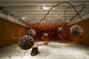 Obra da mostra _Radical_, de Sonia Dias_ Foto de Andre? Nacli